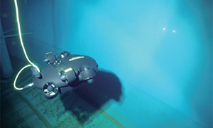 水槽内部調査状況