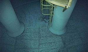 水槽内部調査画像（床面）