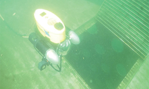 取水口調査状況