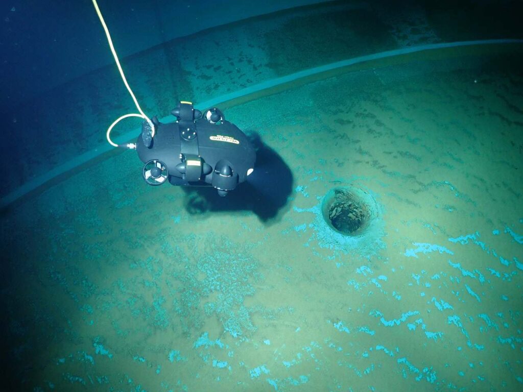 配水池の水中ドローン調査