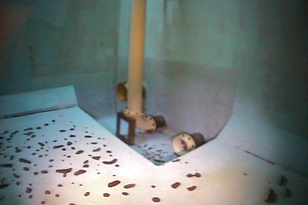 水中ドローン調査