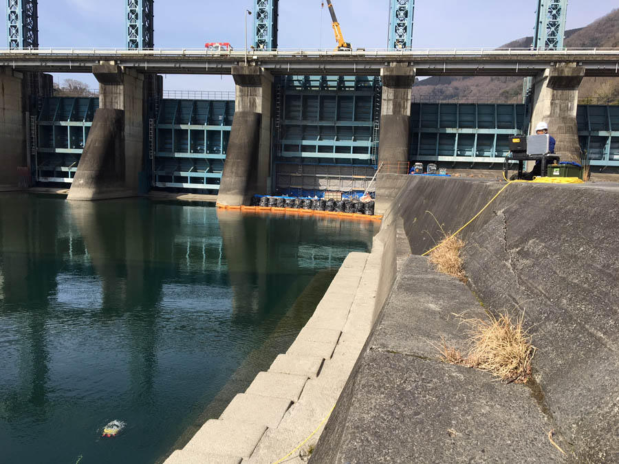 護岸の水中ドローン調査