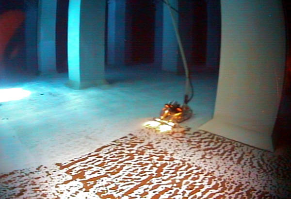 ロボット清掃