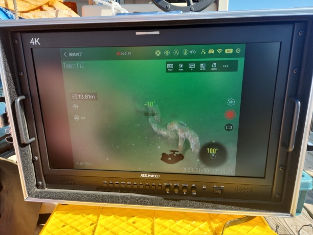 海底埋設物の調査