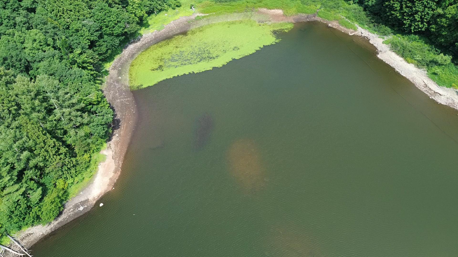 水中ドローン調査