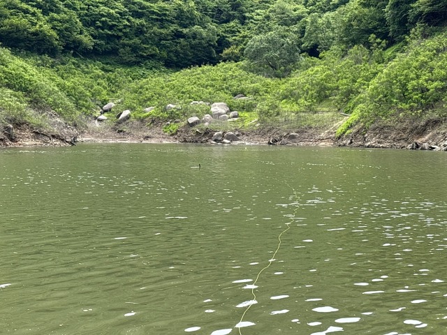 水中ドローン調査
