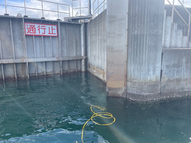 潜水調査