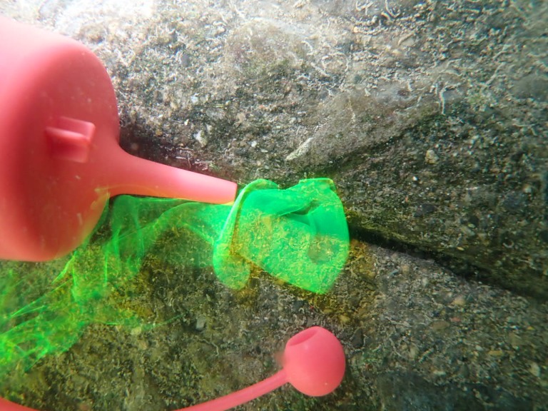 上流エプロンの漏水調査