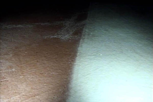 RC製配水池のロボット清掃