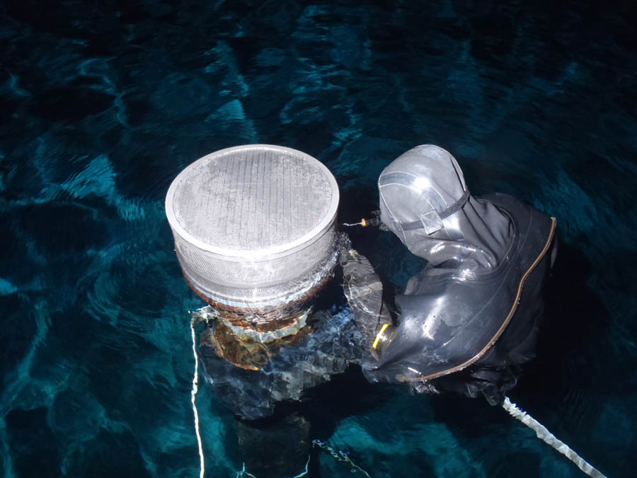 越流管防虫網の設置