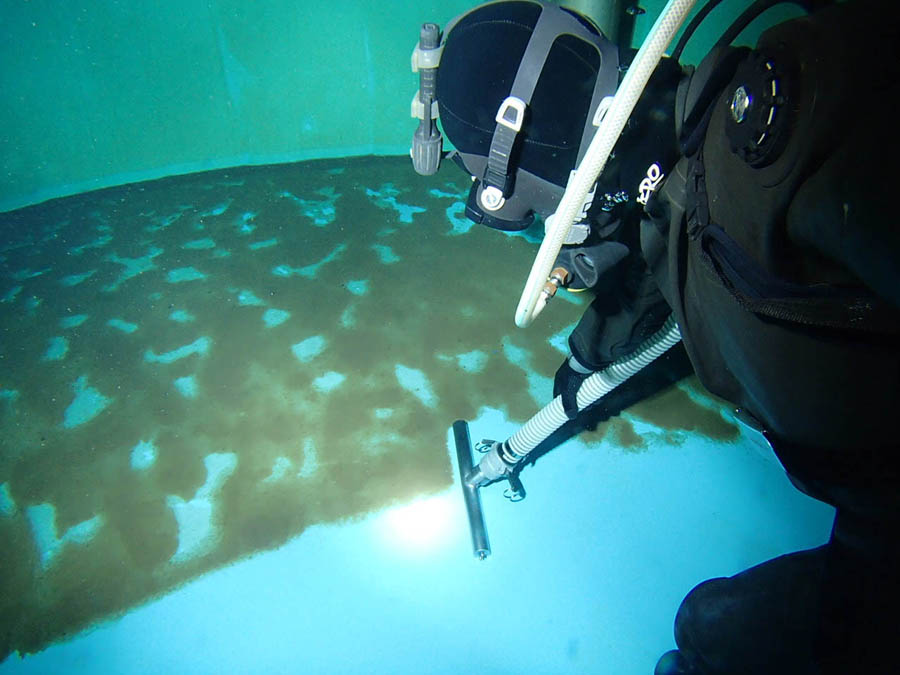 潜水清掃