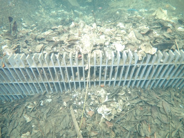 浚渫工事