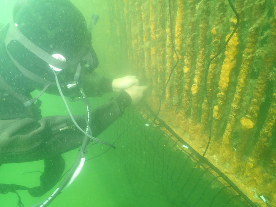 取水塔防塵ネット設置